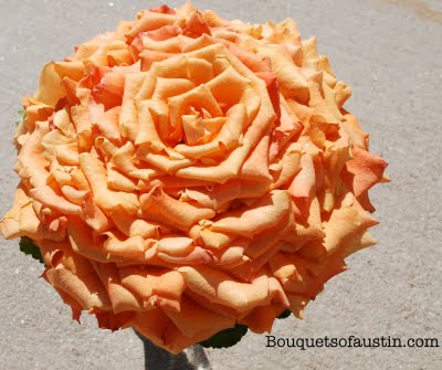 Composite-Flower Bouquet
